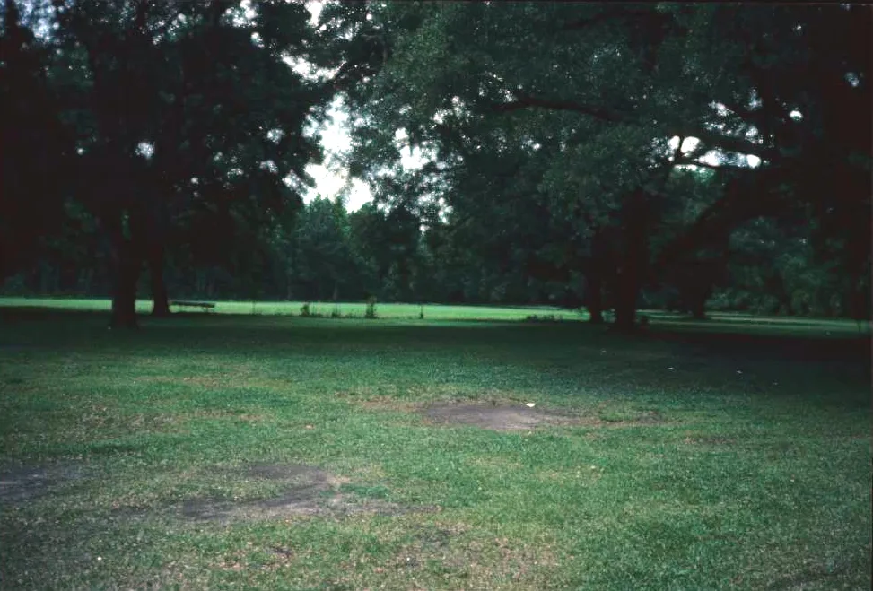 The original pecan grove tract on South Irby Street